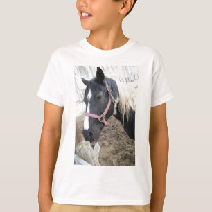 Camiseta Paint Pinto Horse