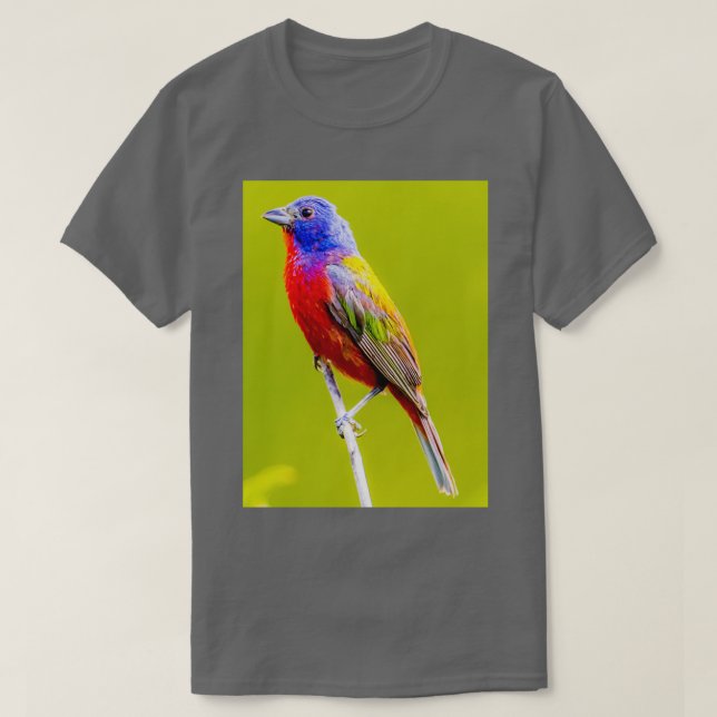 Camiseta Painted Bunting 1 (Diseño del anverso)