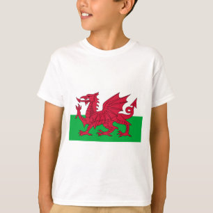 Camiseta País de Gales