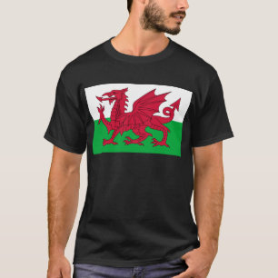 Camiseta País de Gales
