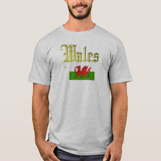 Camiseta País de Gales (Cymru)
