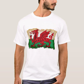 Camiseta País de Gales en la desolación