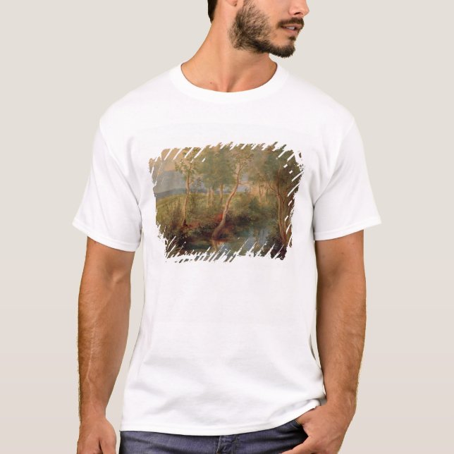 Camiseta Paisaje 2 (Anverso)