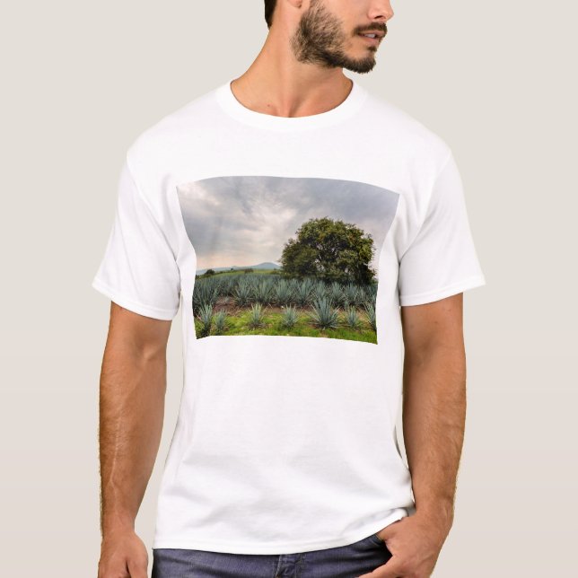 Camiseta Paisaje con agavo azul (Anverso)