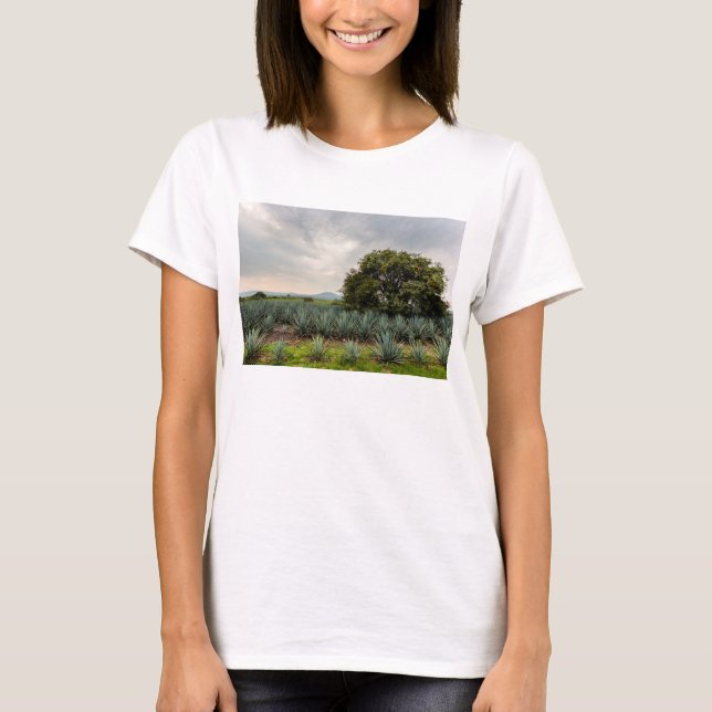 Camiseta Paisaje con agavo azul (Anverso)