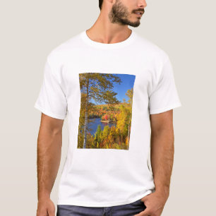 Camiseta Paisaje de árboles de otoño, Maine