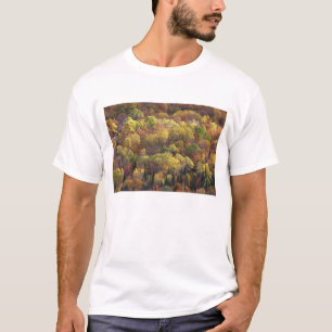 Camiseta paisaje de otoño, Vermont, EE. UU. 2