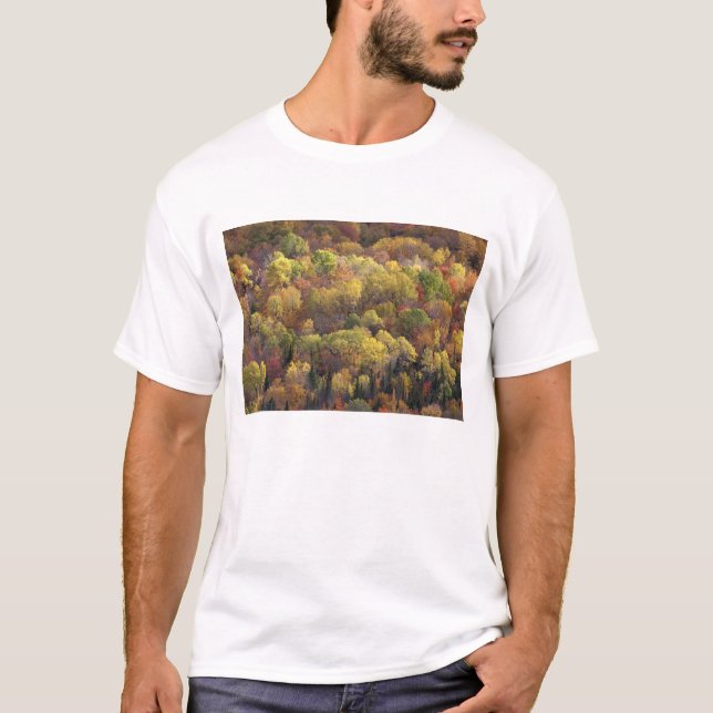 Camiseta paisaje de otoño, Vermont, EE. UU. 2 (Anverso)