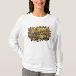 Camiseta paisaje de otoño, Vermont, EE. UU. 2