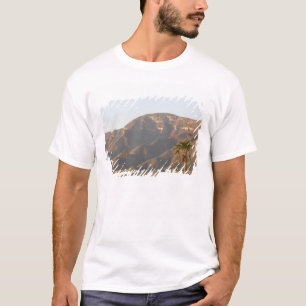 Camiseta Paisaje de rancho desértico cerca de Monterrey, Mé