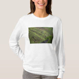 Camiseta Paisaje de terrazas de arroz en la montaña,