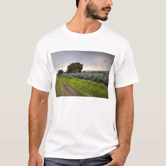 Camiseta Paisaje del agavo azul (Anverso)
