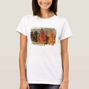 Camiseta Paisaje del otoño, c.1903 (aceite en lona)