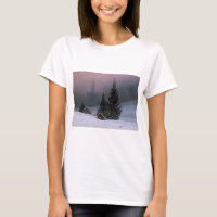 Paisaje invernal (por Caspar David Friedrich)
