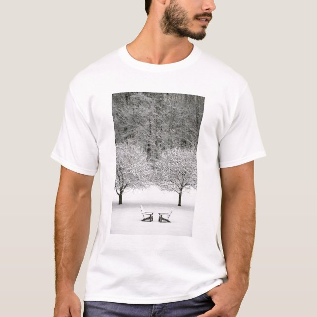 Camiseta Paisaje nevado (Anverso)