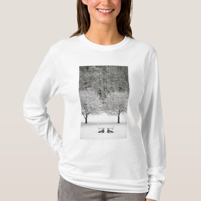 Camiseta Paisaje nevado (Anverso)