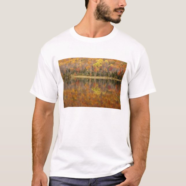 Camiseta Paisaje otoñal con lago, Vermont, EE.UU. (Anverso)