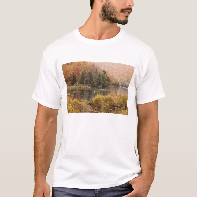 Camiseta Paisaje otoñal con lago, Vermont, EE.UU. 3 (Anverso)