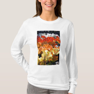 Camiseta Países Bajos aka Holanda), Lisse. Keukenhof