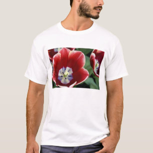 Camiseta Países Bajos (alias Holanda), Lisse. Keukenhof 3