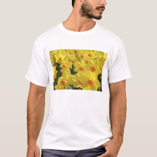 Camiseta Países Bajos, Holanda, Lisse, Jardines Keukenhof,