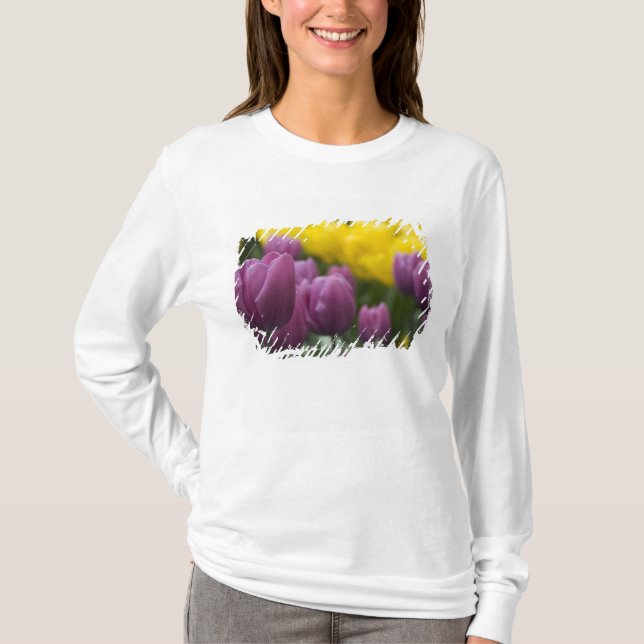 Camiseta Países Bajos (Holanda), Lisse. Keukenhof 10 (Anverso)