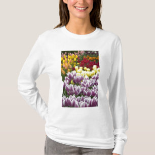 Camiseta Países Bajos (Holanda), Lisse. Keukenhof 3