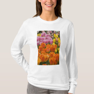 Camiseta Países Bajos (Holanda), Lisse. Keukenhof 4