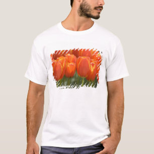 Camiseta Países Bajos (Holanda), Lisse. Keukenhof 7