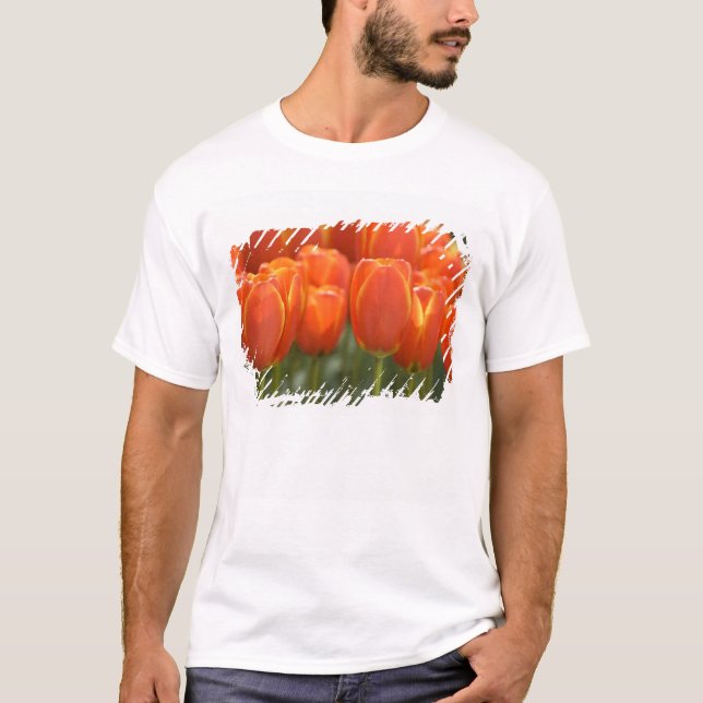 Camiseta Países Bajos (Holanda), Lisse. Keukenhof 7 (Anverso)