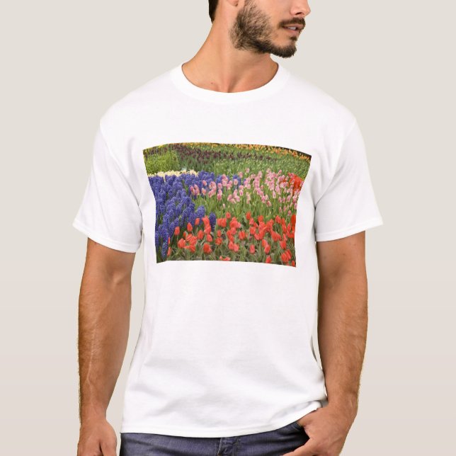 Camiseta Países Bajos (Holanda), Lisse. Keukenhof 9 (Anverso)