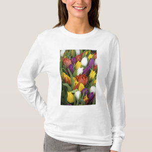 Camiseta Países Bajos, Holanda Meridional, Ámsterdam