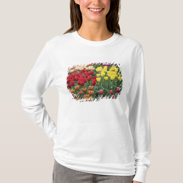 Camiseta Países Bajos, Jardines Keukenhoff, tulipanes. (Anverso)