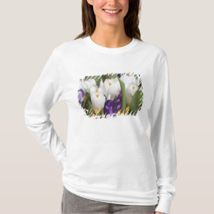 Camiseta Países Bajos, Jardines Keukenhoff, Tulipanes.