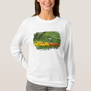 Camiseta Países Bajos, Lisse. Cisnes blancos en estanque en