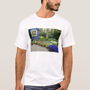 Camiseta Países Bajos (también conocido como Holanda), Liss
