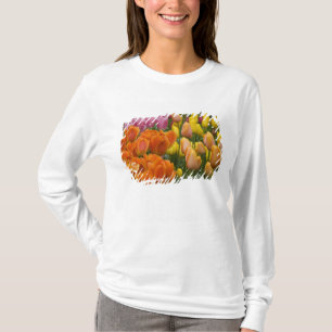 Camiseta Países Bajos (también conocido como Holanda), Liss