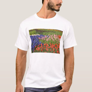 Camiseta Países Bajos (también conocido como Holanda), Liss