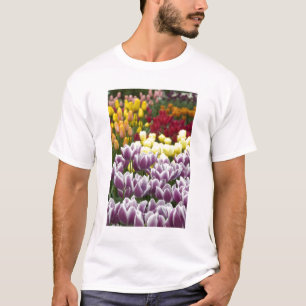 Camiseta Países Bajos (también conocido como Holanda), Liss