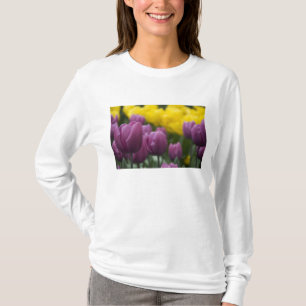 Camiseta Países Bajos (también conocido como Holanda), Liss