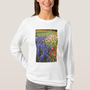 Camiseta Países Bajos (también conocido como Holanda), Liss
