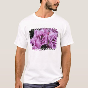 Camiseta Países Bajos (también conocido como Holanda), Liss