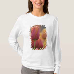Camiseta Países Bajos (también conocido como Holanda), Liss