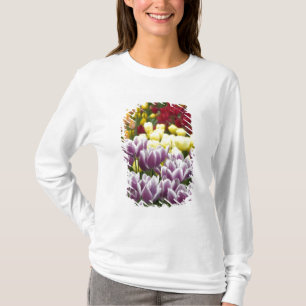 Camiseta Países Bajos (también conocido como Holanda), Liss