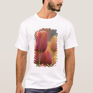 Camiseta Países Bajos (también conocido como Holanda), Liss