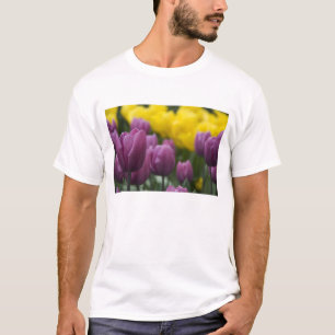 Camiseta Países Bajos (también conocido como Holanda), Liss