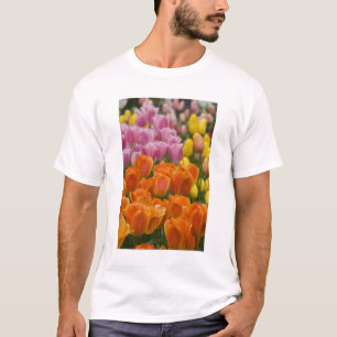 Camiseta Países Bajos (también conocido como Holanda), Liss