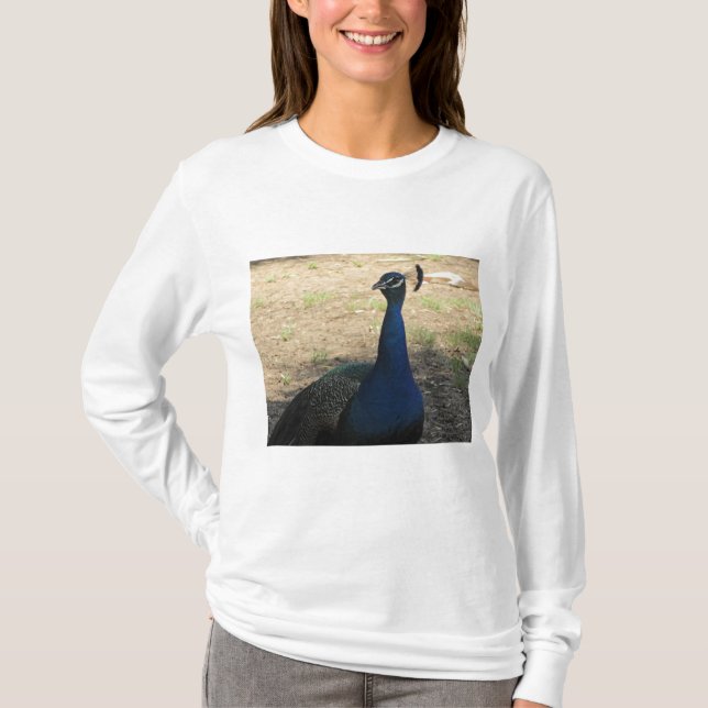 Camiseta Pájaro bello azul brillante foto pavo real (Anverso)
