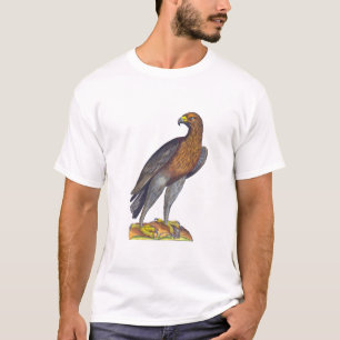 Camiseta Pájaro de Aldrovandi de la presa, del halcón o d