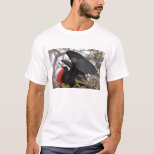 Camiseta Pájaro fragata magnífico
